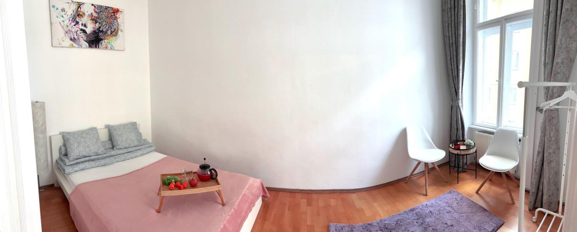 Big And Comfortable Mariahilfer Apartment Viena Exterior foto